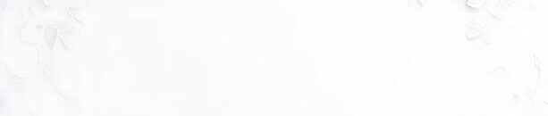 cropped-white-paper-flowers-on-a-white-background-photo-1.jpg